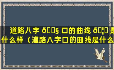 道路八字 🐧 口的曲线 🦄 是什么样（道路八字口的曲线是什么样的啊）